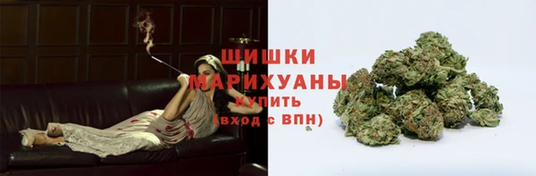ешки Болотное