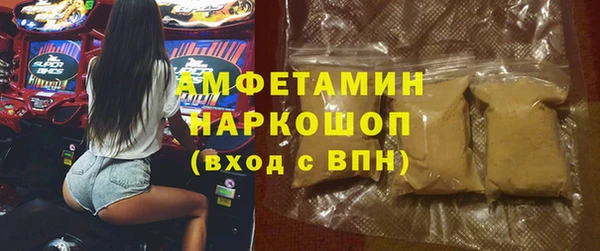 гидра Болохово