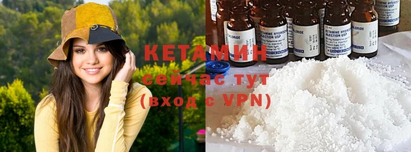 шишки Билибино