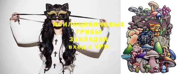 стафф Бикин